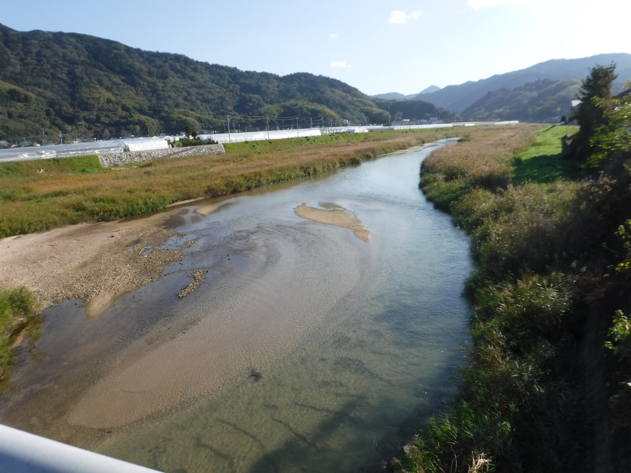 玉島川